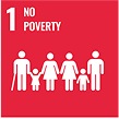 sdg champion