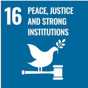 sdg champion