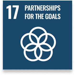 partnership for the goals