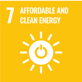 sdg champion